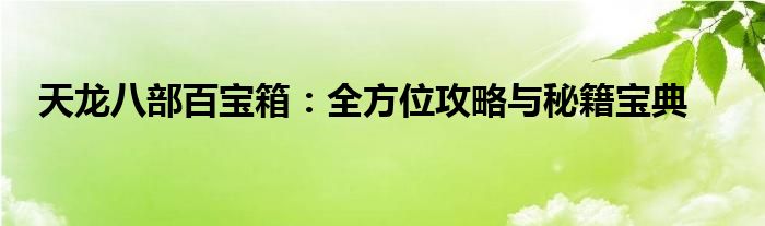 天龙八部百宝箱：全方位攻略与秘籍宝典