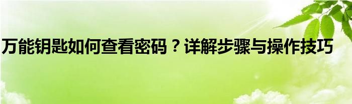 万能钥匙如何查看密码？详解步骤与操作技巧