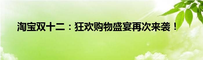 淘宝双十二：狂欢购物盛宴再次来袭！