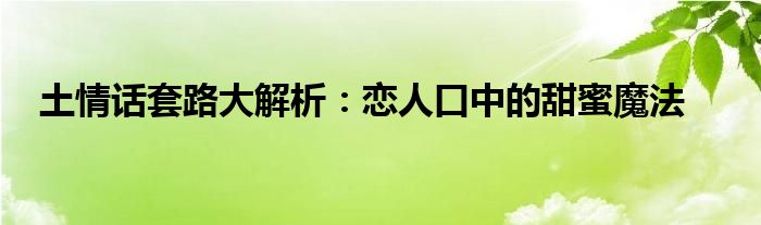 土情话套路大解析：恋人口中的甜蜜魔法