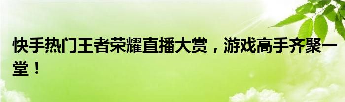 快手热门王者荣耀直播大赏，游戏高手齐聚一堂！