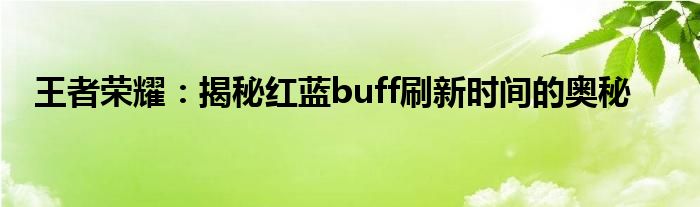 王者荣耀：揭秘红蓝buff刷新时间的奥秘