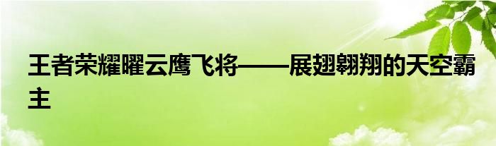 王者荣耀曜云鹰飞将——展翅翱翔的天空霸主