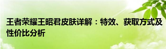 王者荣耀王昭君皮肤详解：特效、获取方式及性价比分析