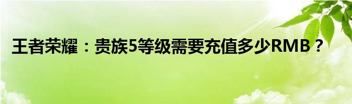 王者荣耀：贵族5等级需要充值多少RMB？