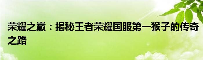 荣耀之巅：揭秘王者荣耀国服第一猴子的传奇之路