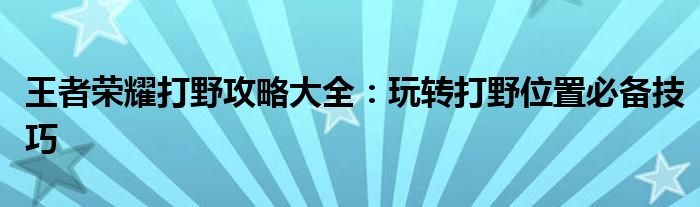 王者荣耀打野攻略大全：玩转打野位置必备技巧