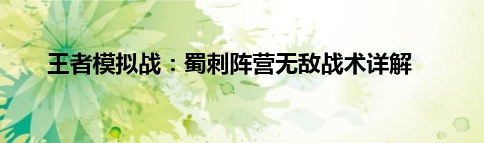 王者模拟战：蜀刺阵营无敌战术详解