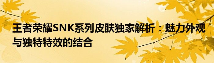 王者荣耀SNK系列皮肤独家解析：魅力外观与独特特效的结合