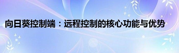 向日葵控制端：远程控制的核心功能与优势