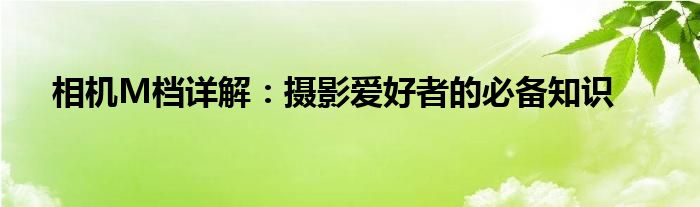 相机M档详解：摄影爱好者的必备知识