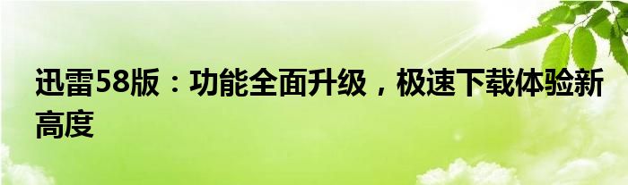 迅雷58版：功能全面升级，极速下载体验新高度