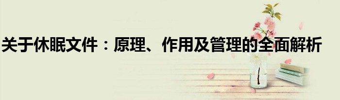 关于休眠文件：原理、作用及管理的全面解析