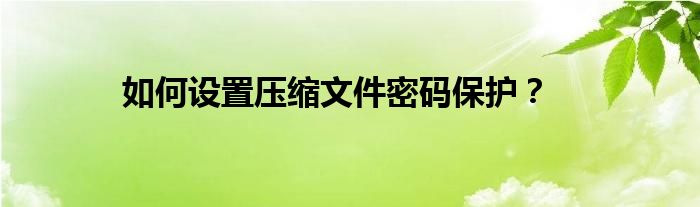 如何设置压缩文件密码保护？