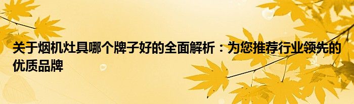 关于烟机灶具哪个牌子好的全面解析：为您推荐行业领先的优质品牌