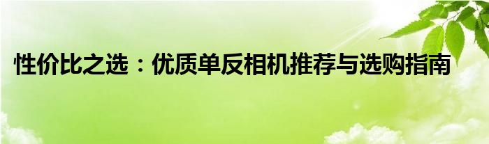 性价比之选：优质单反相机推荐与选购指南