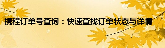 携程订单号查询：快速查找订单状态与详情