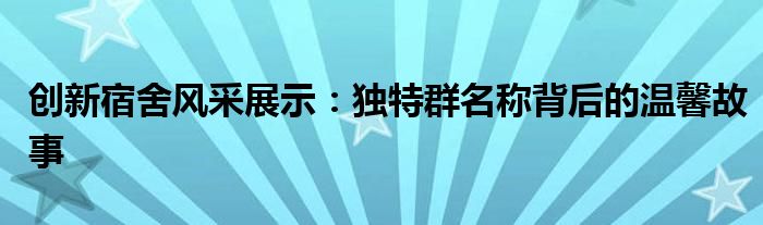 创新宿舍风采展示：独特群名称背后的温馨故事