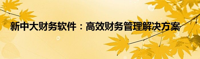 新中大财务软件：高效财务管理解决方案