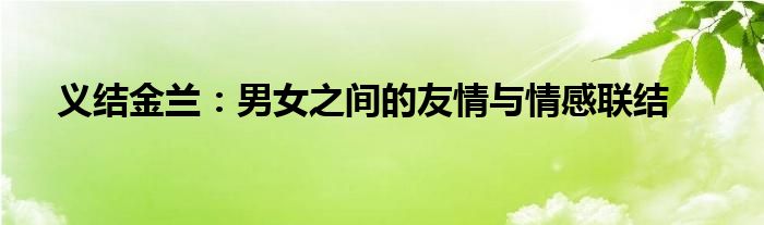 义结金兰：男女之间的友情与情感联结