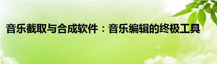 音乐截取与合成软件：音乐编辑的终极工具