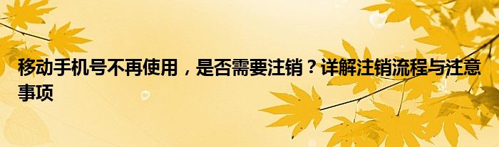 移动手机号不再使用，是否需要注销？详解注销流程与注意事项