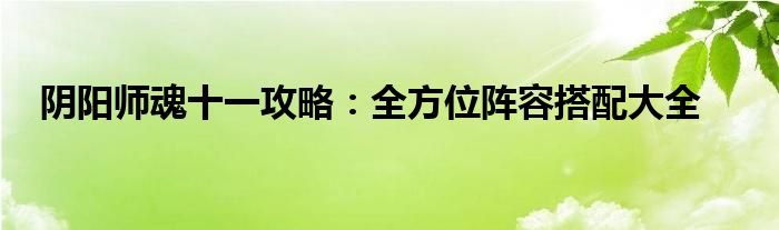 阴阳师魂十一攻略：全方位阵容搭配大全