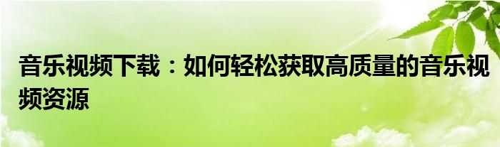 音乐视频下载：如何轻松获取高质量的音乐视频资源