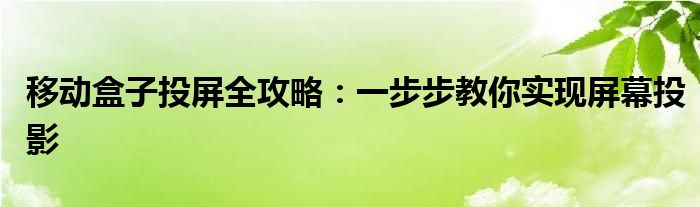 移动盒子投屏全攻略：一步步教你实现屏幕投影