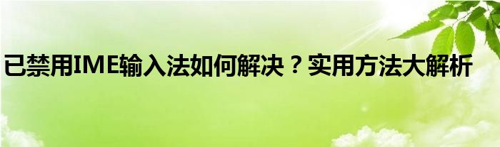 已禁用IME输入法如何解决？实用方法大解析