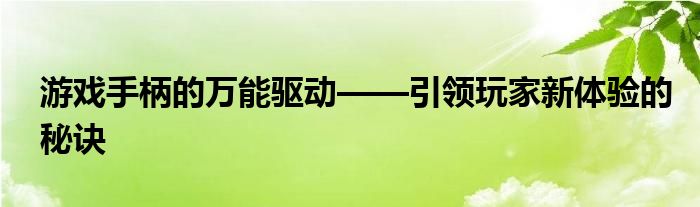 游戏手柄的万能驱动——引领玩家新体验的秘诀