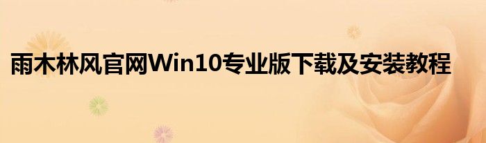 雨木林风官网Win10专业版下载及安装教程