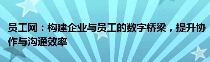 员工网：构建企业与员工的数字桥梁，提升协作与沟通效率