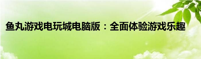 鱼丸游戏电玩城电脑版：全面体验游戏乐趣