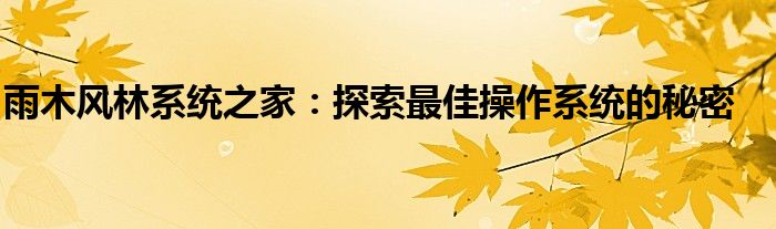 雨木风林系统之家：探索最佳操作系统的秘密