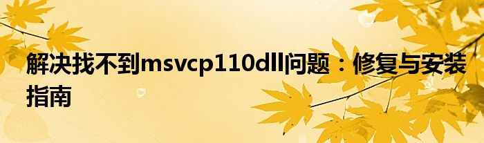 解决找不到msvcp110dll问题：修复与安装指南