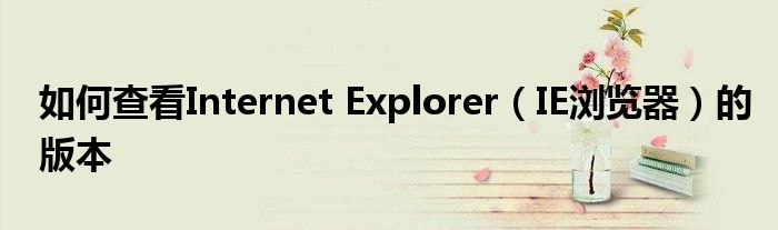 如何查看Internet Explorer（IE浏览器）的版本