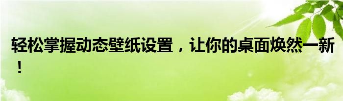 轻松掌握动态壁纸设置，让你的桌面焕然一新！