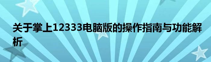 关于掌上12333电脑版的操作指南与功能解析