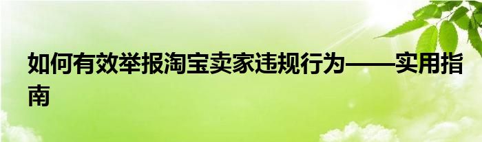 如何有效举报淘宝卖家违规行为——实用指南