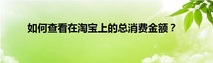 如何查看在淘宝上的总消费金额？