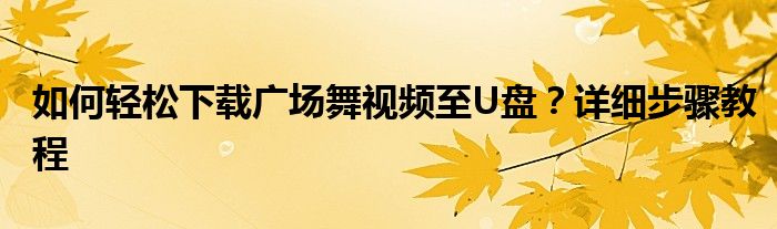 如何轻松下载广场舞视频至U盘？详细步骤教程