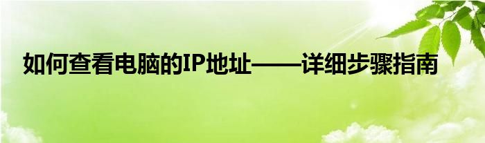 如何查看电脑的IP地址——详细步骤指南