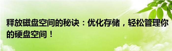 释放磁盘空间的秘诀：优化存储，轻松管理你的硬盘空间！