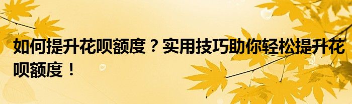 如何提升花呗额度？实用技巧助你轻松提升花呗额度！