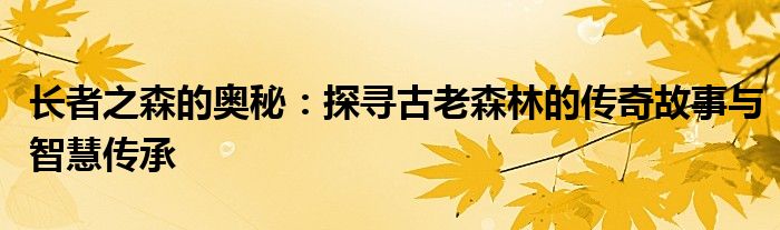 长者之森的奥秘：探寻古老森林的传奇故事与智慧传承