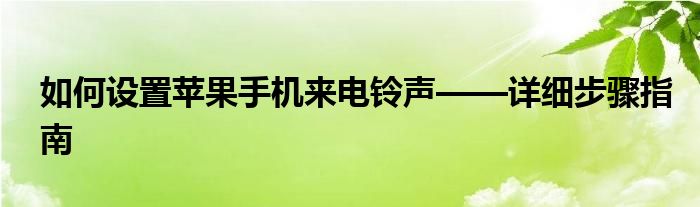 如何设置苹果手机来电铃声——详细步骤指南