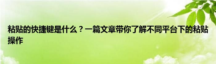 粘贴的快捷键是什么？一篇文章带你了解不同平台下的粘贴操作