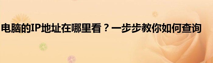 电脑的IP地址在哪里看？一步步教你如何查询