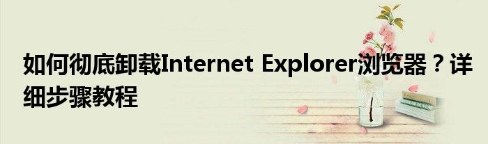 如何彻底卸载Internet Explorer浏览器？详细步骤教程